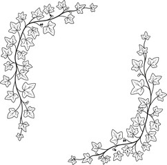 Obraz premium Elegant black and white floral vine border design with delicate leaves and small blossoms