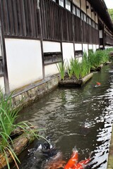 津和野の町並み　養老館跡水路