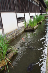 津和野の町並み　養老館跡水路