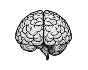 A simple black line art illustration of a human brain, symmetrical outline with smoot