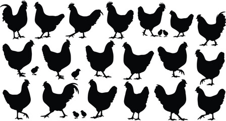 Chicken and chick silhouette set, black poultry vector, farm animal poses, walking and pecking hens, rural livestock design, agricultural illustration © Ideasy Mind