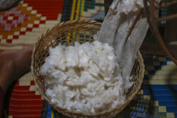 Close up of white raw cotton fiber inside handmade woven basket. Authentic textile material ready for traditional spinning and weaving process to create natural yarn and fabric