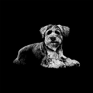 illustration of a Mauzer dog lying down, showcasing fine linework and realistic fur texture. The artwork captures the gentle and loyal expression of this small terrier-mix breed.