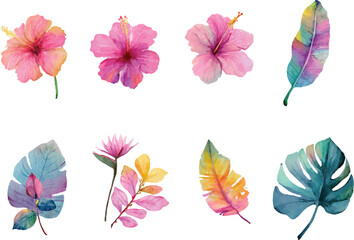 set of colorful flowers