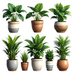 Fototapeta premium Various potted plants on a white background