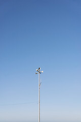 Loudspeaker Tower under Clear Blue Sky