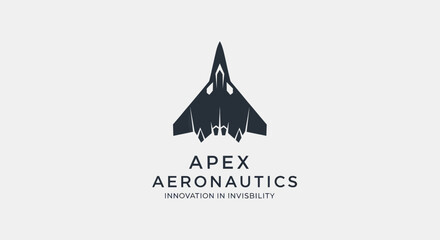 Minimalist Apex Aeronautics logo with a top down jet silhouette.