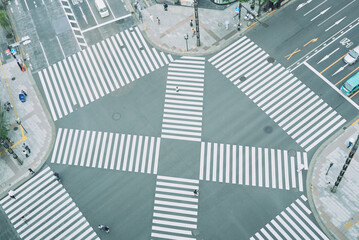 Tokyo City Intersection from Above