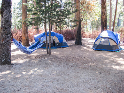 Man relaxing in hammock near tents in forest campground