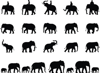 Elephant silhouettes vector set, rider elephants, baby elephants, walking poses, trunk raised, wildlife icons, black animal shapes, editable stock illustration