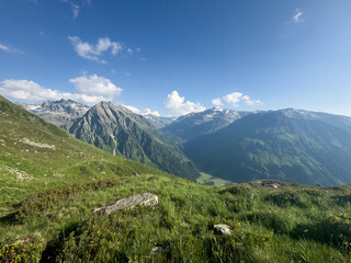 Lush green valley surrounded by towering alps mountains