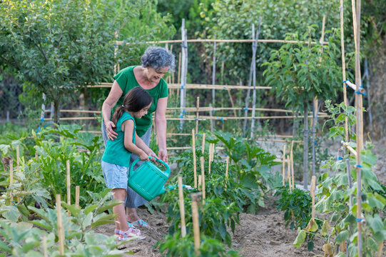 Grandmother and granddaughter watering plants in vegetable garden
