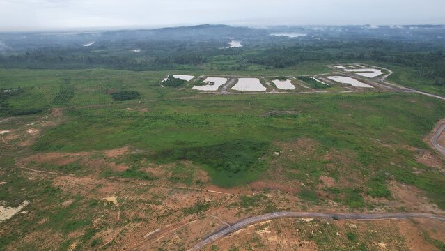 This image shows a reclaimed mining area with growing vegetation covering the landscape. Several water ponds are visible in the middle of the area, likely serving as sedimentation or rehabilitation.