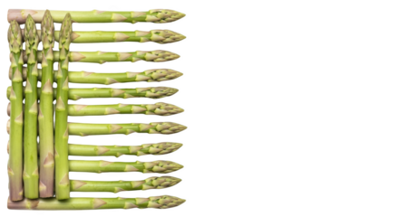 A vertical arrangement of fresh green asparagus stalks showcasing buds and stems isolate Vegetables Healthy Food Produce Transparent Background Ingredients