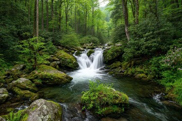 Obraz premium Lush Green Forest Landscape with Waterfall Flowing Over Rocks and Emerald Water