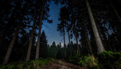 Obraz premium Low angle view through tall, dark forest towards night sky with visible stars above dirt path and green vegetation