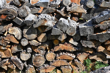 Full-frame background with a woodpile