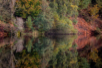 reflection of trees in the water