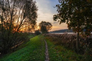 Fototapety na wymiar - Fototapeta24.pl