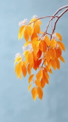 A detailed close-up of a tree branch adorned with vibrant yellow leaves, dusted with tiny white specks against a soft muted blue sky background, captured in bright daylight.