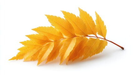 A Detailed Photo of a Bright Yellow Mango Leaf with Glitter Accents Isolated on a White Background
