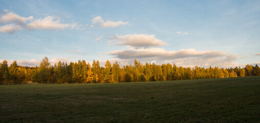 Colorful autumn tree alley on a sunny day