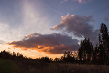 Dramatic sunset over dark trees