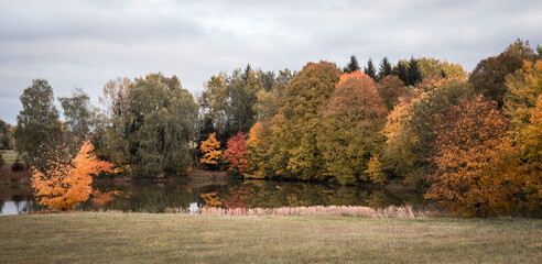 Colorful autumn trees reflected on the water surface