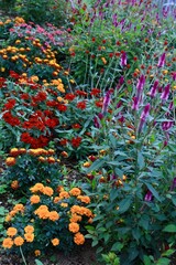 カラフルなガーデニング