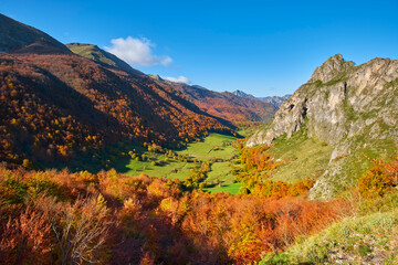 Naklejka premium HAYEDO ENRAMADA SOMIEDO