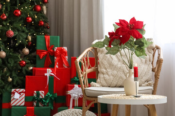 Vase with Christmas flower poinsettia and burning candle on table in living room