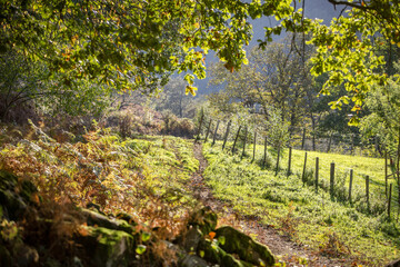 Fototapeta premium Découverte du Pays Basque 
