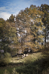 Découverte du Pays Basque