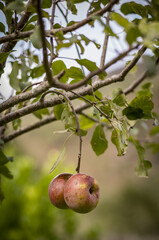 Découverte du Pays Basque
