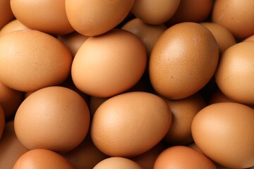 Many raw chicken eggs as background, closeup