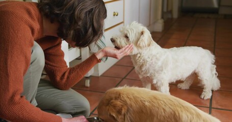 Kneeling owner feeding dogs and patting terrier in kitchen, with stainless steel bowl, copy space