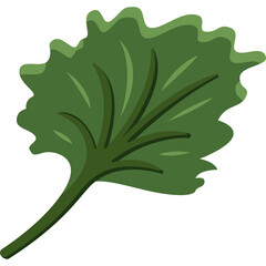 Green Kale Leaf with Detailed Veins on a Transparent Background Healthy Food Ingredient and Leafy Vegetable Symbol