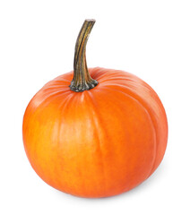 One whole ripe pumpkin isolated on white