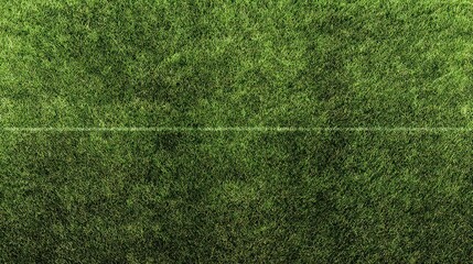 Static Noise Texture With Random Dots and Horizontal White Line