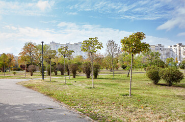 Pathway surrounded by trees in Kyiv, Europe. Recreation place in the city park at Autumn.