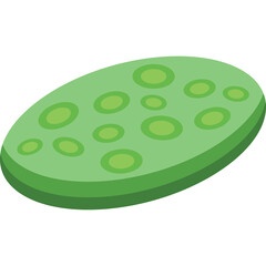 Green Oval Object with Light Green Circular Patternd Isolated on Transparent Background Simple Graphic Design