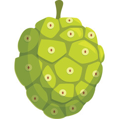 Green Noni Fruit with Many Segments and Red Spots on a Transparent Background