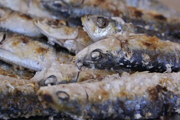 Grilled sardines cooking with sea salt on barbecue