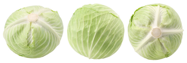 Fresh cabbage isolated, transparent PNG, PNG format