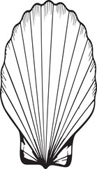 Seashells silhouette collection sea ocean life summer