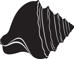 Seashells silhouette collection sea ocean life summer