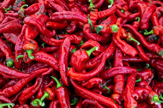 Fresh red chili peppers piled at market showing organic produce