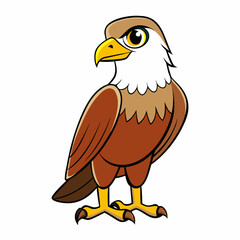 red tailed hawk