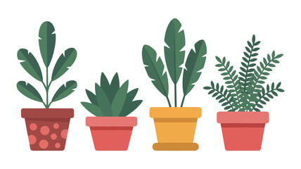 Collection of four potted houseplants with lush green foliage in decorative pots