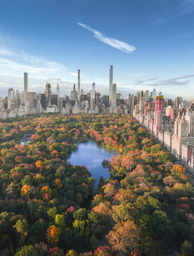 Aerial view of Central Park's autumn foliage ablaze with fiery hues, a vibrant contrast to the towering skyscrapers, New York, New York, United States.